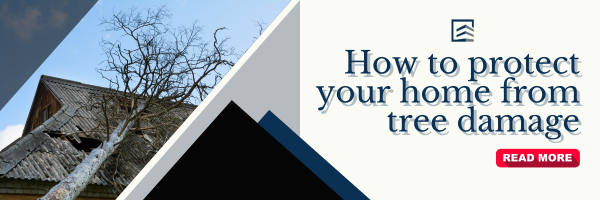 How to protect your home from tree damage